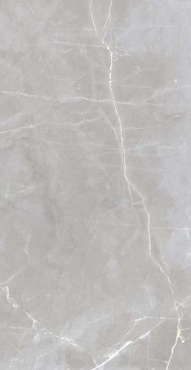 Luxury Amani Grey Matte 24 x 48